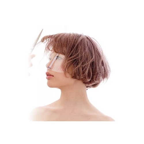 フェイスプロテクション(100枚)