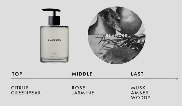 LOA THE HAND WASH | HIKOTA-ESHOP 商品情報